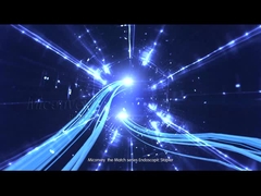 Endoscopische lineaire scherpe nietmachineinleiding van Miconvey