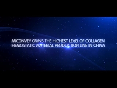 MICONVEY bedrijfinleiding